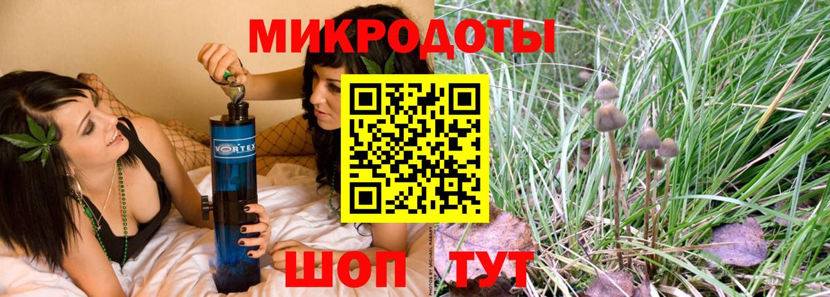 Новотроицк  Псилоцибиновые грибы мухоморы  Вход с VPN 
