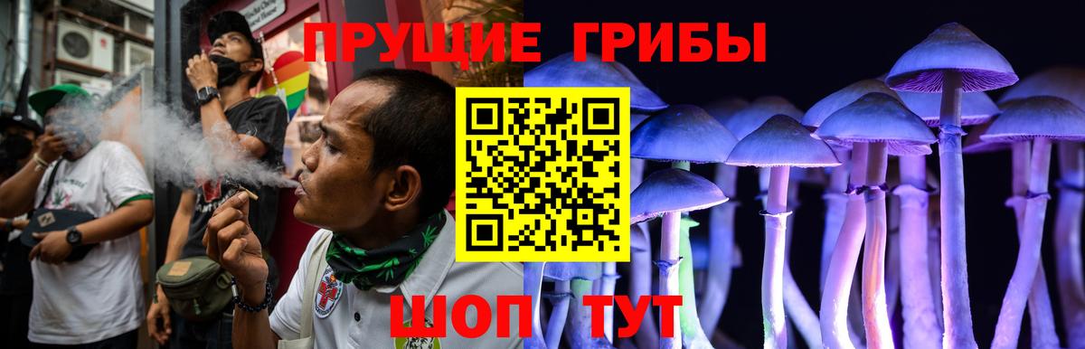 Псилоцибиновые грибы GOLDEN TEACHER Новотроицк